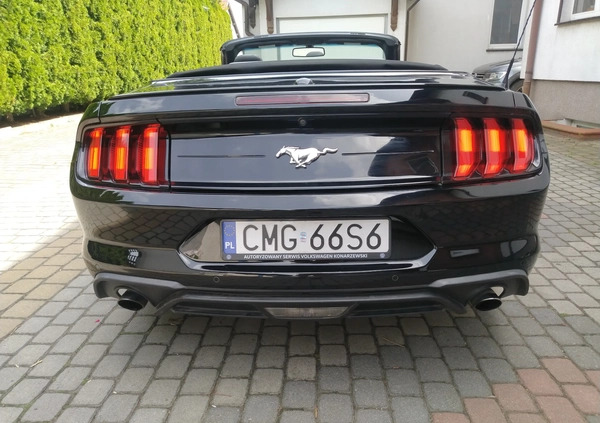 Ford Mustang cena 93000 przebieg: 100000, rok produkcji 2018 z Mogilno małe 326